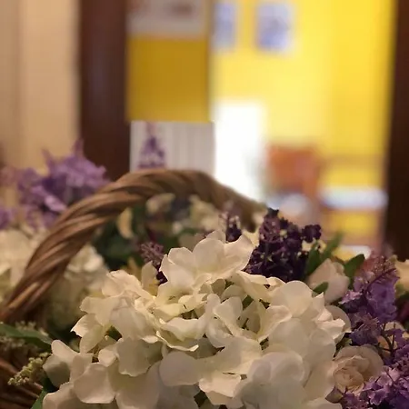 La Casa Di Nonna Giulia بيت ضيافة